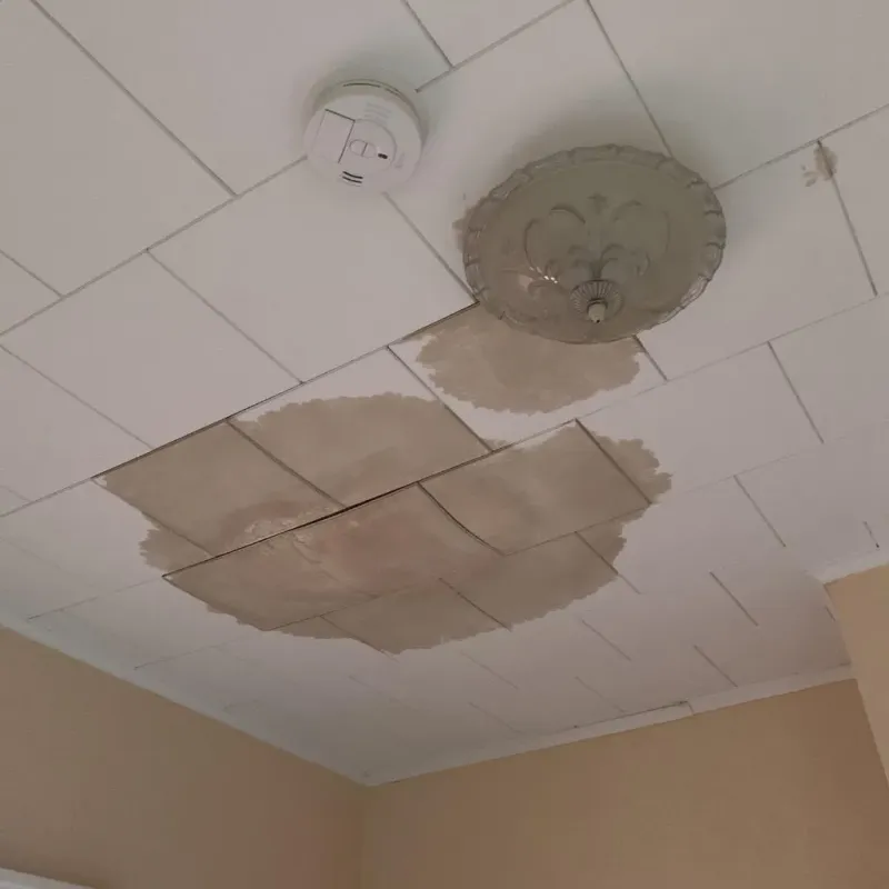 Ceiling Water Damage Repair in Big Bass Lake, PA