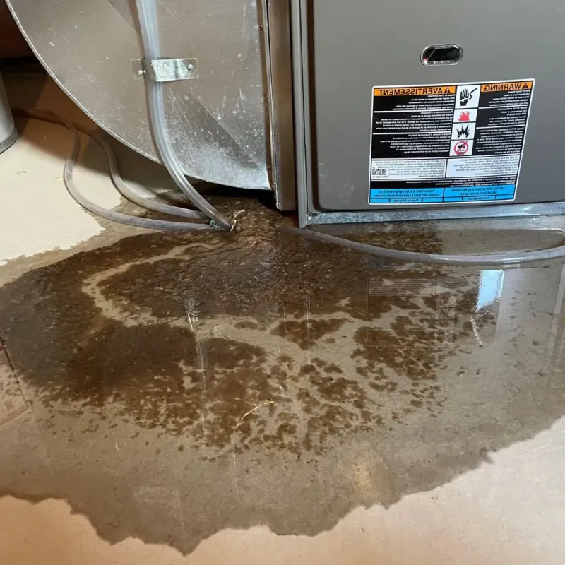 Pipe Burst and Leak Restoration in Big Bass Lake, PA