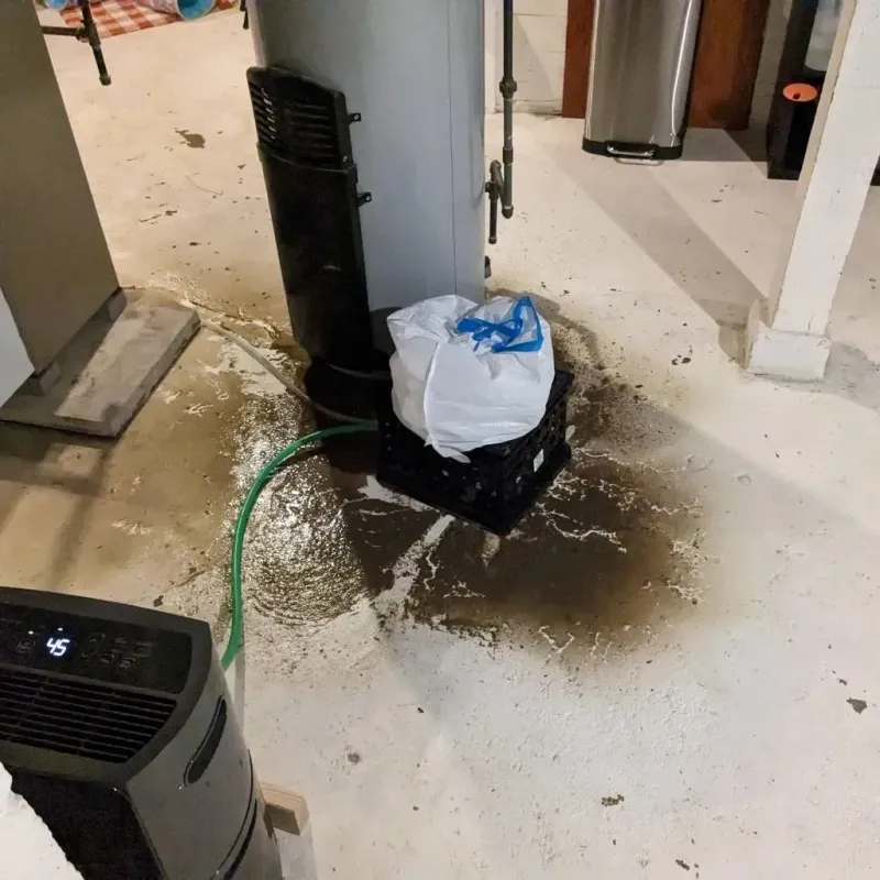 Sewage Backup Cleanup Service in Big Bass Lake, PA